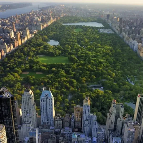 Central Park New York Facts: A Quick Guide In 2024