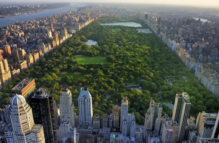 Central Park New York Facts: A Quick Guide In 2024