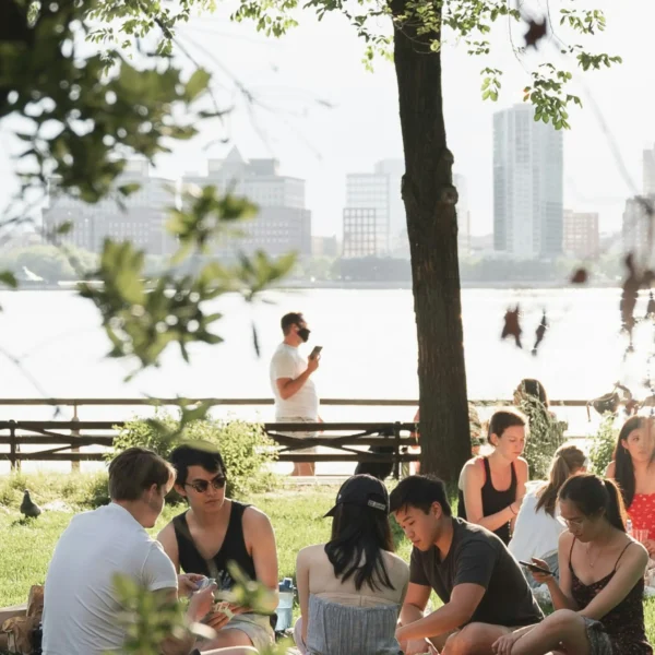 Summer Picknick